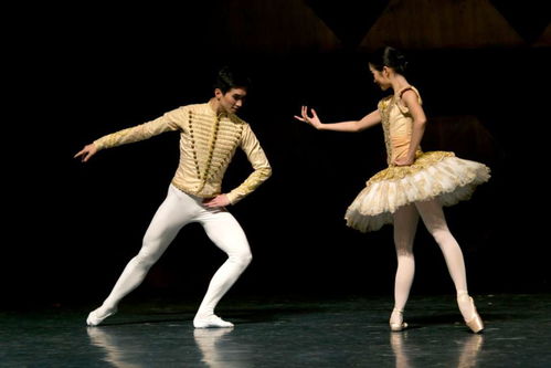 精品藝術(shù)齊綻放 白云機場迎新年文藝演出即將盛大啟幕